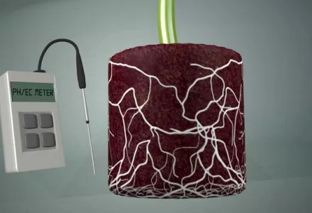 How to measure pH & EC from the roots?