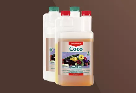 CANNA Coco A & B