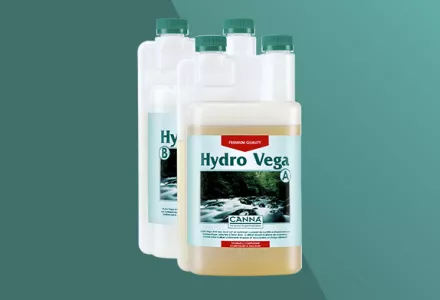 CANNA Hydro Vega