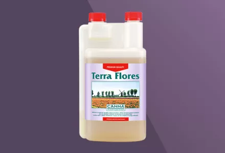 CANNA Terra Flores