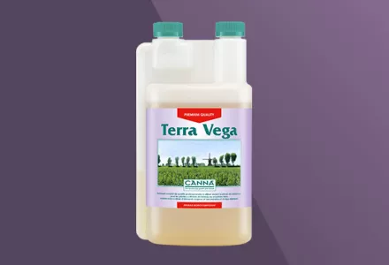 CANNA Terra Vega