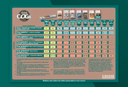 CANNA COGr Grow Schedule