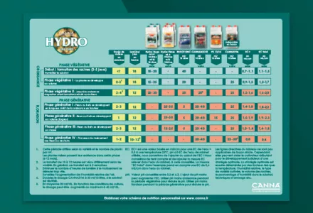 CANNA HYDRO (Hard) Grow Schedule