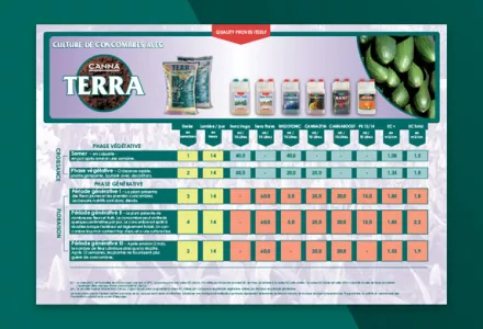 CANNA TERRA schéma de nutrition: Concombres