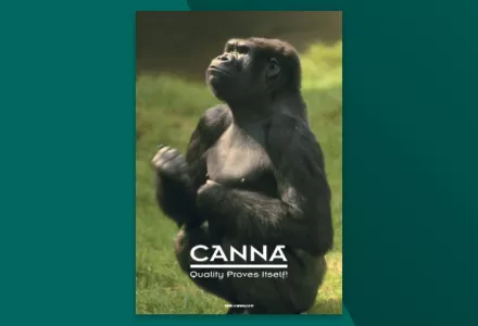 CANNA Brochure Générale